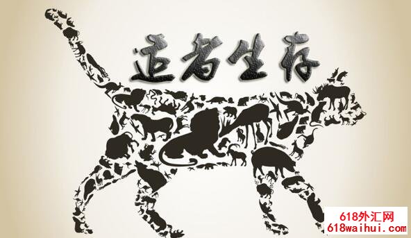 5.8现货黄金原油日内短线交易操作技巧