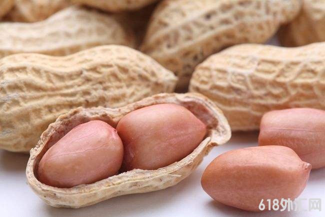 产业企业参与花生期货亮点多